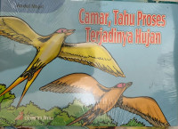 Image of Camar, Tahu Proses Terjadinya Hujan