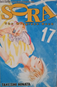 Image of Sora Vol. 17